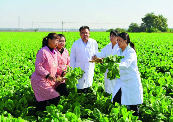 深学笃行科技服务精神 尚武科技锚定县域数字化转型新赛道 深学笃行科技服务精神 尚武科技锚定县域数字化转型新赛道