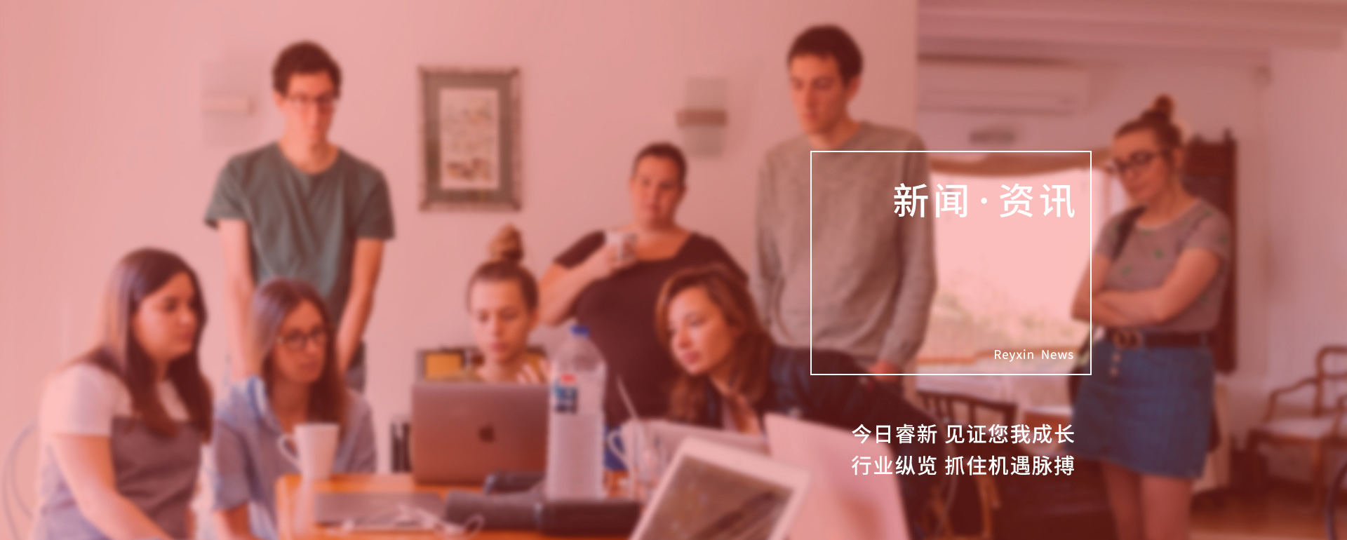 石家庄网络营销资讯banner图