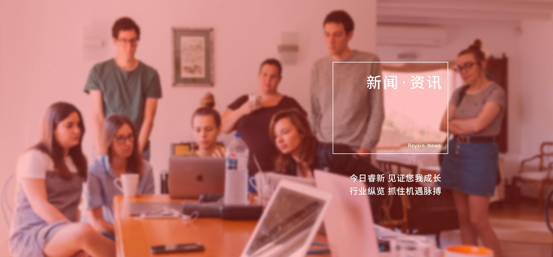 石家庄网络营销资讯banner图