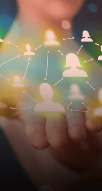 石家庄网站开发公司