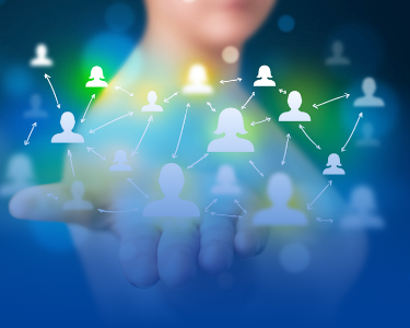 石家庄网站建设