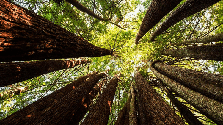 石家庄软件开发,石家庄网站开发,石家庄小程序开发,石家庄网站建设