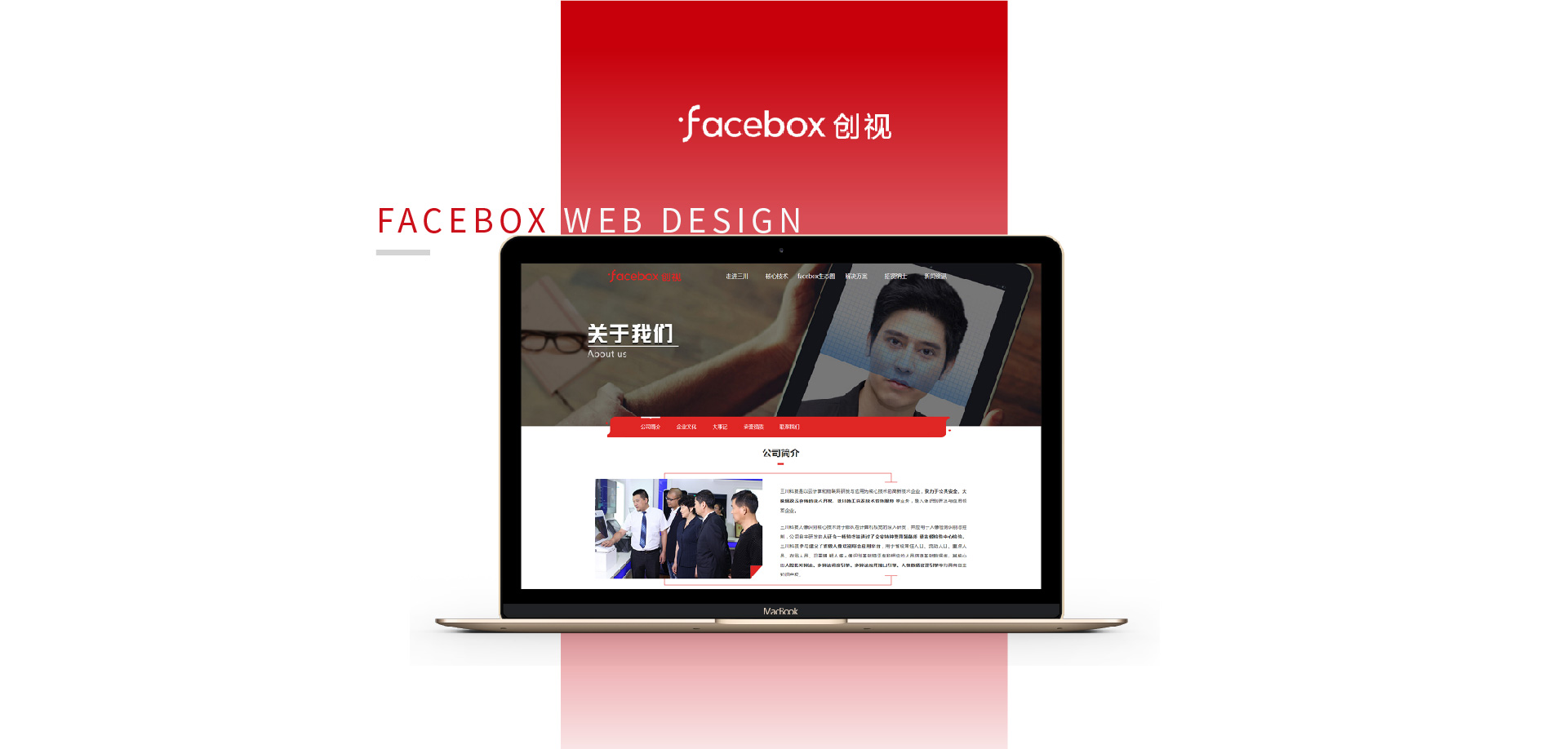 石家庄网站开发